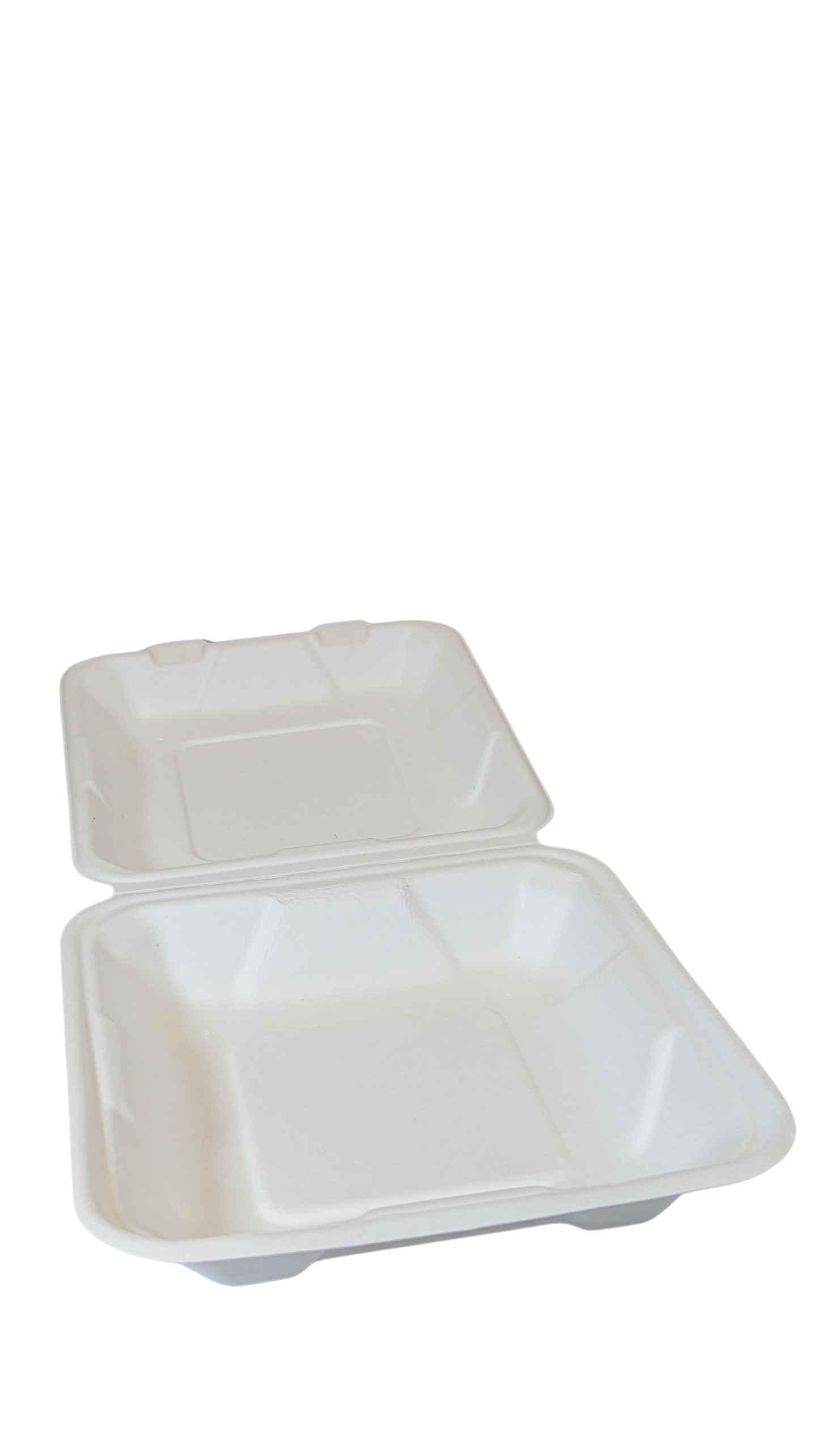 Bagasse Hinged Container 9x9 (biodegradable) 200/ct
